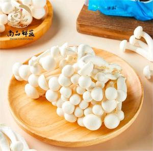 新鲜白玉菇保鲜盒装125g非干货海鲜菇白雪菇中西餐蔬菜食用真姬菇
