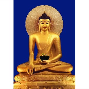 20免费结缘处淘宝结缘本师释迦牟尼佛像挂画25岁35岁等身像供奉释迦