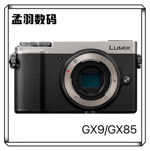 Panasonic/松下GX9/GX85/G85/G9/G95/G7高速连拍高清视频微单相机