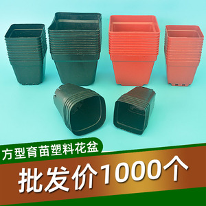 小方型形营养培育苗杯多肉塑料花盆钵园艺栽种绿植物基地厂家直销