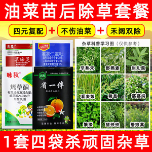 油菜除草剂专用药草除灵烯草酮油菜田地苗后除草剂氨氯吡啶酸农药