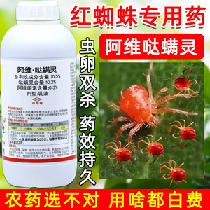 红蜘蛛专用药阿维菌素哒螨灵杀虫剂月季桔子柑橘果树玉米杀虫农药