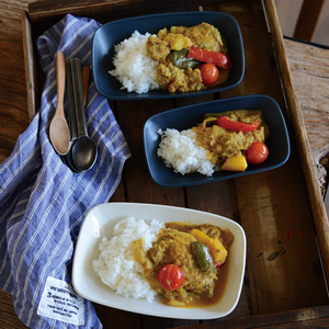 410人付款天猫日式餐具卤肉商用茶餐厅碟头炒饭鳗鱼盖浇饭咖喱快餐