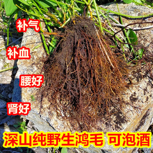 鸿毛药材