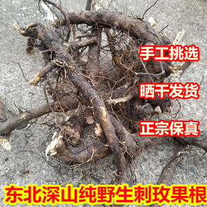 东北纯野生刺玫果根中药材新货500克晒干天然正宗野蔷薇根玫瑰根