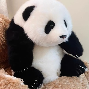 熊猫工厂仿真大熊猫福宝公仔5月龄萌兰和花花3月龄和叶情人节礼物