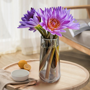 爱优尚睡莲鲜花水培植物鲜切枝花束紫色室内客厅植物带花苞发货