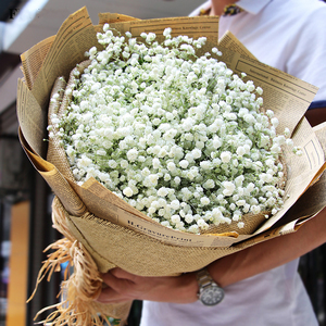 满天星勿忘我花束礼盒德州平原德诚乐陵庆云齐河禹城鲜花同城速递