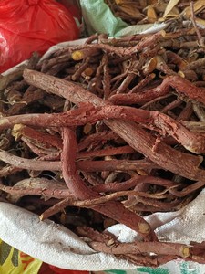 状元红 红穿破血风藤拉牛入石新鲜靓货中药材野生货500g包邮 热卖