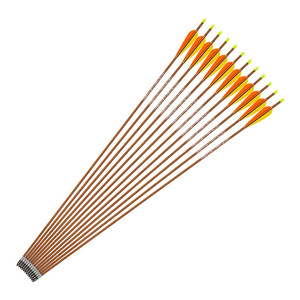 碳素箭支700扰度雄鹿迷踪真羽复合弓木箭 纯碳箭玩具