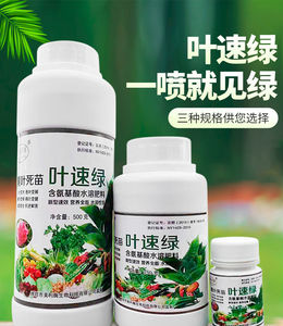 叶绿素营养液蕃茄草莓小麦花生玉米黄瓜控旺药肥料绿叶植物一喷绿