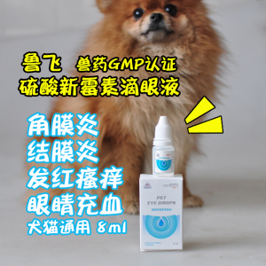鲁飞 硫酸新霉素滴眼液宠物狗狗猫咪眼睛消炎眼药水结膜炎角膜炎