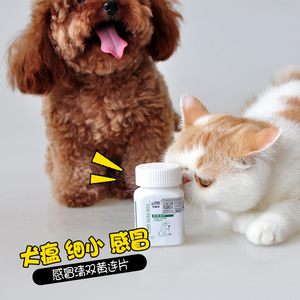 爱纳它感冒双黄连片清宠物狗狗鼻炎猫鼻支流鼻涕喷嚏感冒药犬窝咳