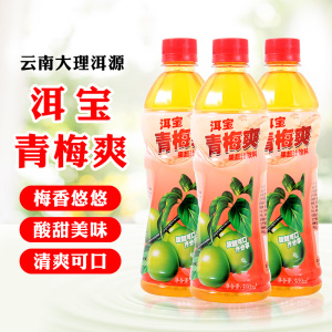云南特产大理洱宝青梅爽500毫升青梅果蔬汁饮料酸甜果味饮品瓶装