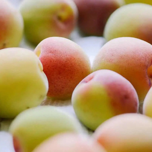 云南新鲜黄梅果散装青梅现摘野生酸梅子梅酒熬酱胭脂5斤顺丰航空