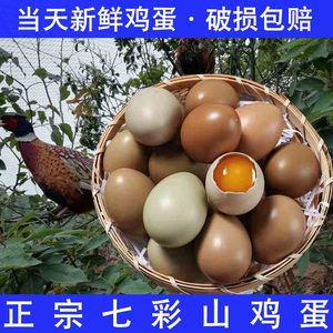 七彩山鸡蛋新鲜正宗 农家散养五彩蛋 土鸡蛋笨鸡蛋宝宝辅食野鸡蛋