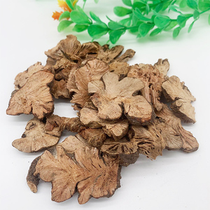 正品金荞麦中药材荞麦根泡茶开金锁野荞麦根苦荞头金乔麦500g包邮