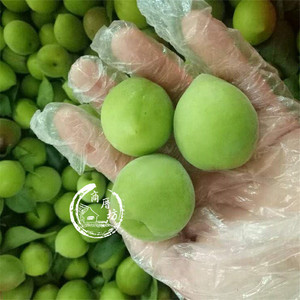 商厝坊孕妇酸梅水果诏安红星新鲜青梅果泡酒腌制酵素现摘现发500g