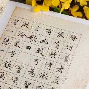 二王钟繇王羲之虞世南赵孟頫文征明姜夔小楷临摹簪花毛笔楷书字帖