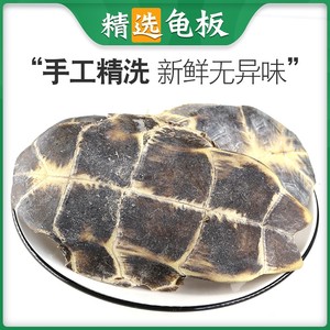 龟板 中药材 精选生龟板 龟甲500克包邮 免费磨龟板粉 另售炙龟板
