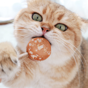 日本多格漫猫糖猫用乳酸菌棒棒糖猫咪磨牙零食营养磨牙咬胶棒12根