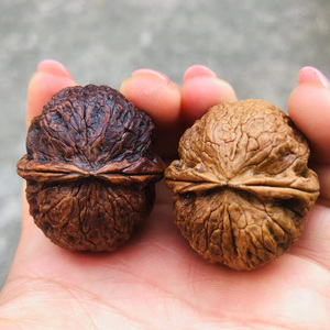 云南野生七彩云铁把玩铁核桃文玩2棱阴阳落地红把玩铁皮核桃