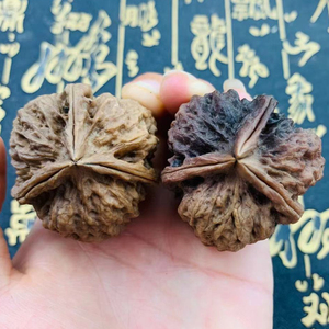 云南七彩云铁多棱文玩厚壳自然彩落地彩铁核桃把玩3棱铁皮核桃
