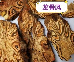 龙骨风中药
