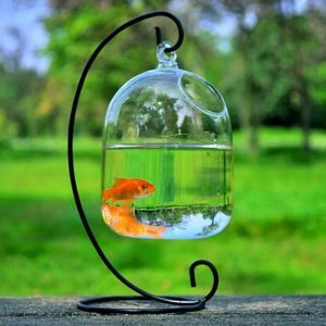 创意悬挂式玻璃花瓶鱼缸 透明玻璃手工鱼缸 家居装饰摆件
