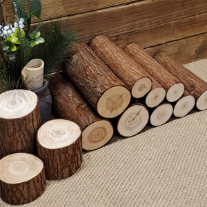 壁炉装饰木头摆件圆木桩原木小木桩实木树桩木材木柴天然杉木木头