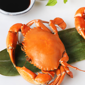 菜蟹一斤149元,可活寄,两斤包邮.