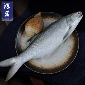 进口野生海鱼