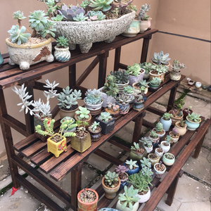 阳台花架实木多层阶梯落地式碳化防腐木花架多肉植物盆栽花盆架子