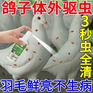 鸟体外驱虫药鸽子专用药植物配方虱螨狗狗体外驱虫泰迪宠物去跳蚤