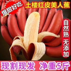 福建红美人香蕉现摘正宗新鲜小米蕉10斤当季水果自热熟粉蕉红皮蕉