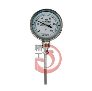 表盘式温度计wss-411