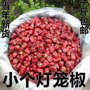贵州小个灯笼椒 草莓椒  500g中辣特香麻辣香锅火锅海椒干红辣椒