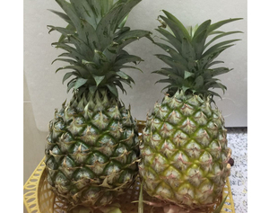 海南新鲜水果凤梨金钻凤梨17号菠萝金菠萝台湾品种2个