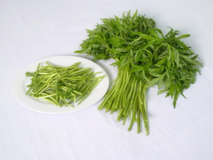 湖北特产 武汉蔡甸精品藜蒿 芦蒿 2斤带叶藜蒿 6小袋藜蒿茶