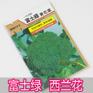 【日本进口】富士绿青花菜 西兰花种子 武藏野种苗 绿花菜种子