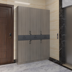 鞋柜家用门外楼道带锁防盗用电梯入户门口鞋柜一体靠墙到顶可定制