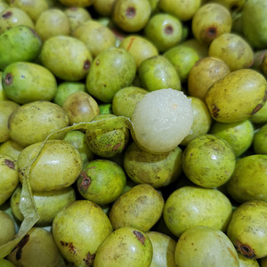 【童年的味道】南酸枣新鲜 野生五眼果鼻涕果水果枣子 青酸枣