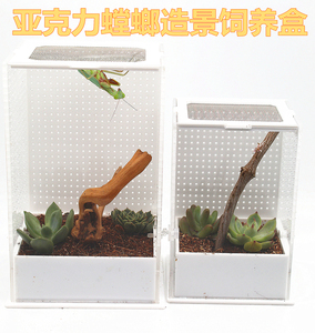 昆虫亚克力螳螂饲养盒造景别墅竹节虫蝈蝈蜘蛛螳螂螽斯等各种鸣虫