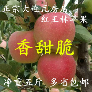 东北辽宁特产大连瓦房店王林苹果新鲜水果日本红王林苹果十斤包邮