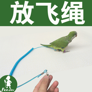 300人付款天猫鹦鹉放飞绳超轻溜鸟绳玄凤不伤脚虎皮牵引绳牵鸟绳栓鸟