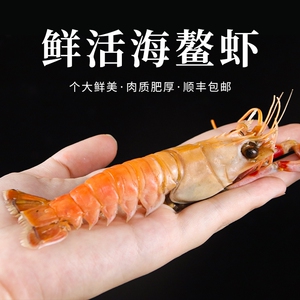 渤海海鳌虾野生螯虾超大深海海熬虾新鲜甜虾海鲜水产日料刺身鲜活