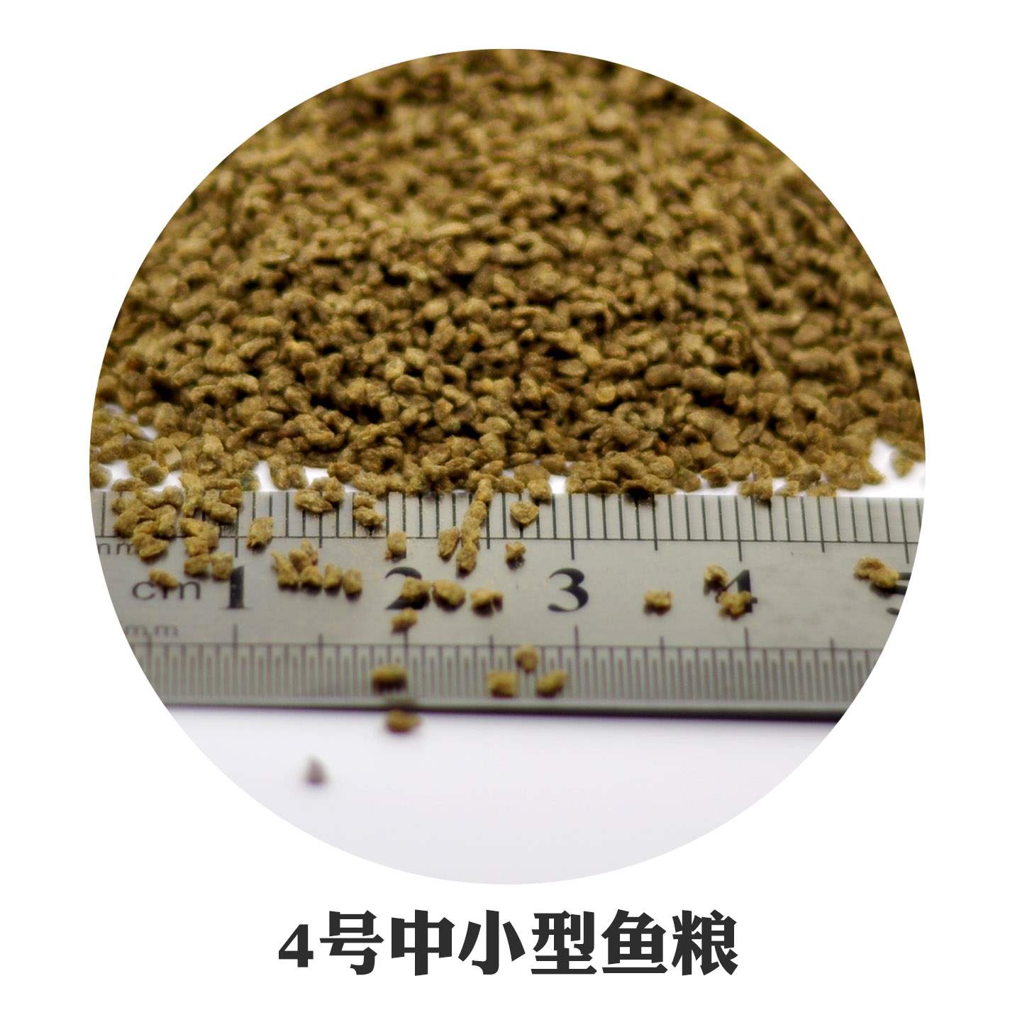 观赏鱼粮孔雀鱼粮小型鱼迷你鹦鹉粮鱼苗颗粒饲料天然下沉鱼粮100g