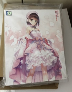 电击文库30周年 加藤惠 婚纱路人女主 帆布版画 深崎暮人原画正版