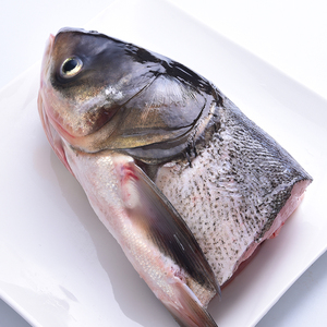 新鲜花白鲢鱼头生态鱼头查干湖野生胖头鱼鱼头大头鳙鱼头淡水鱼