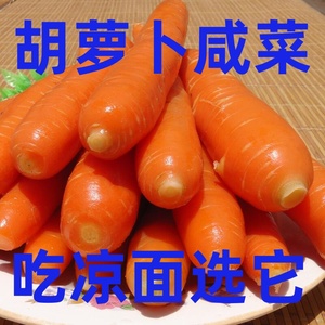 胡萝卜咸菜萝卜500g手工凉面腌制山东三鲜红萝卜饭菜香椿芽特产